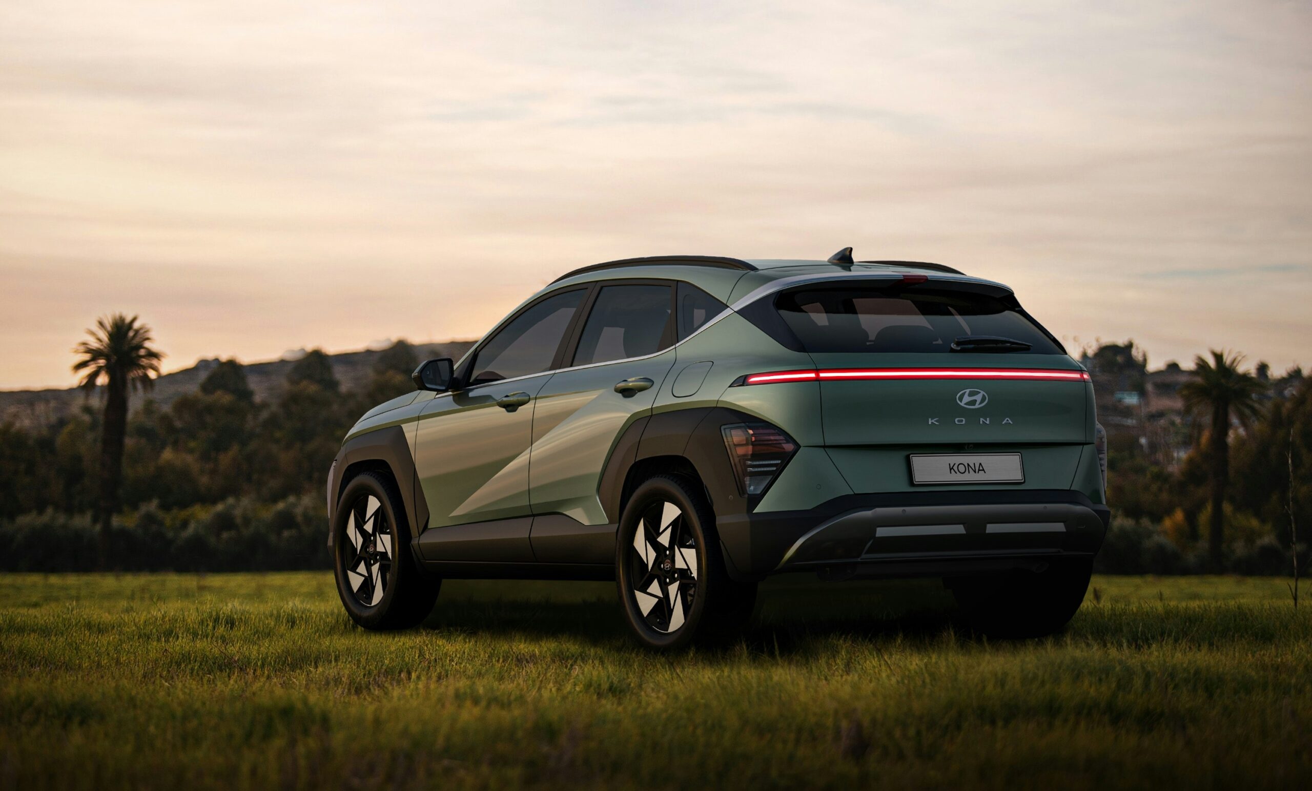 a green car standing on a natural background