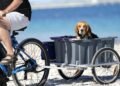vélo cargo